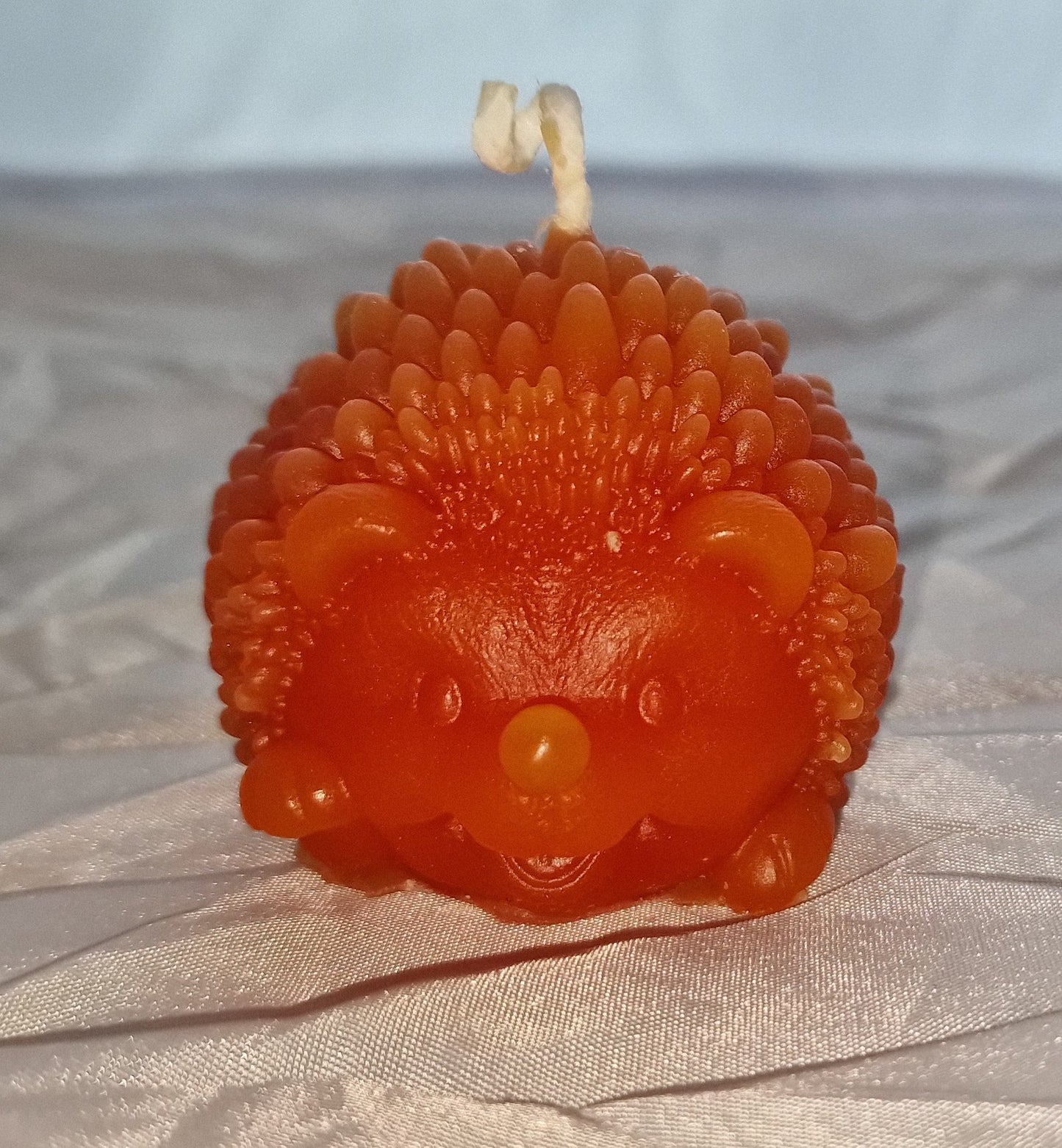 Pinnsvinn Orange