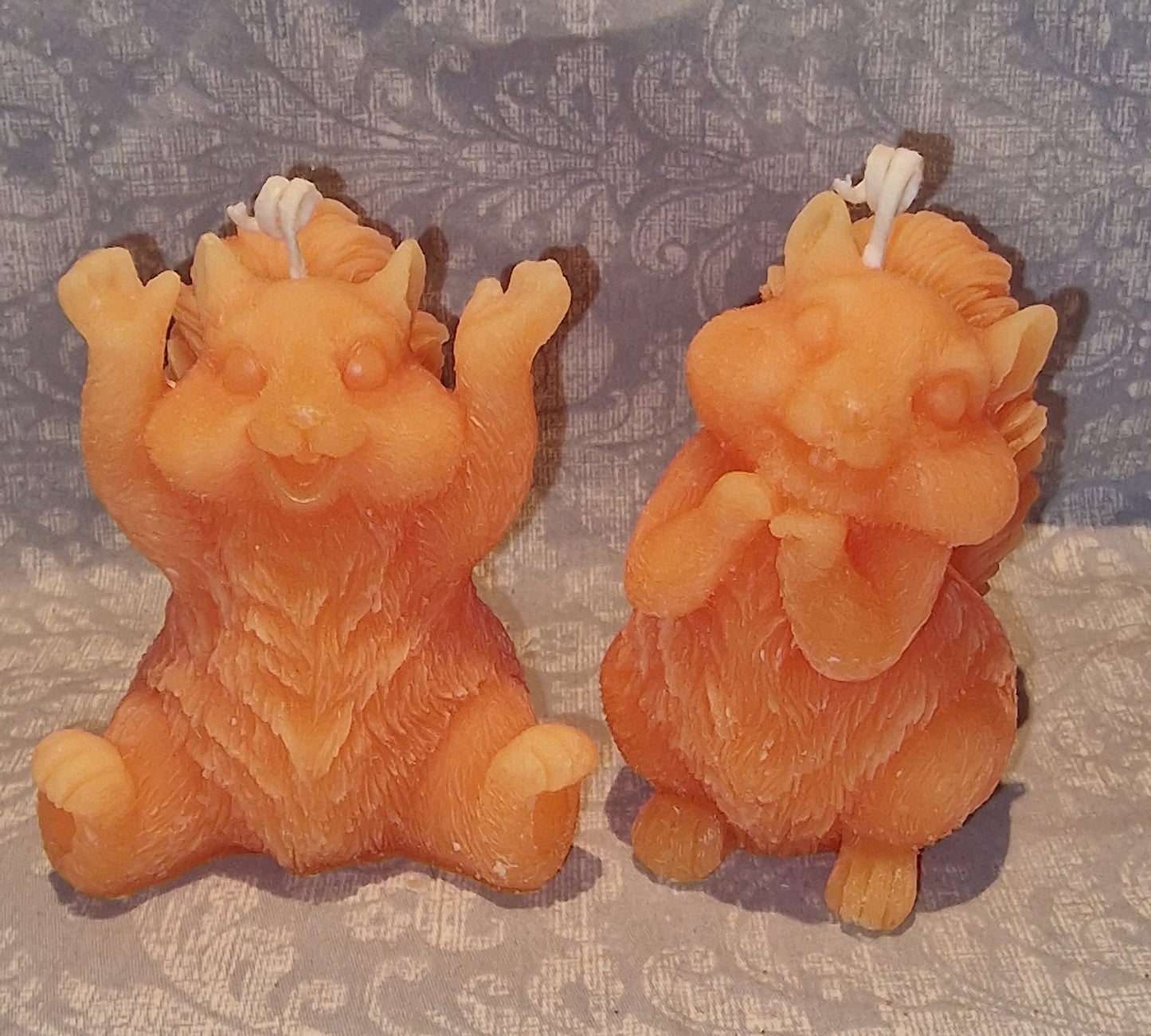 Ekorn SØT Orange