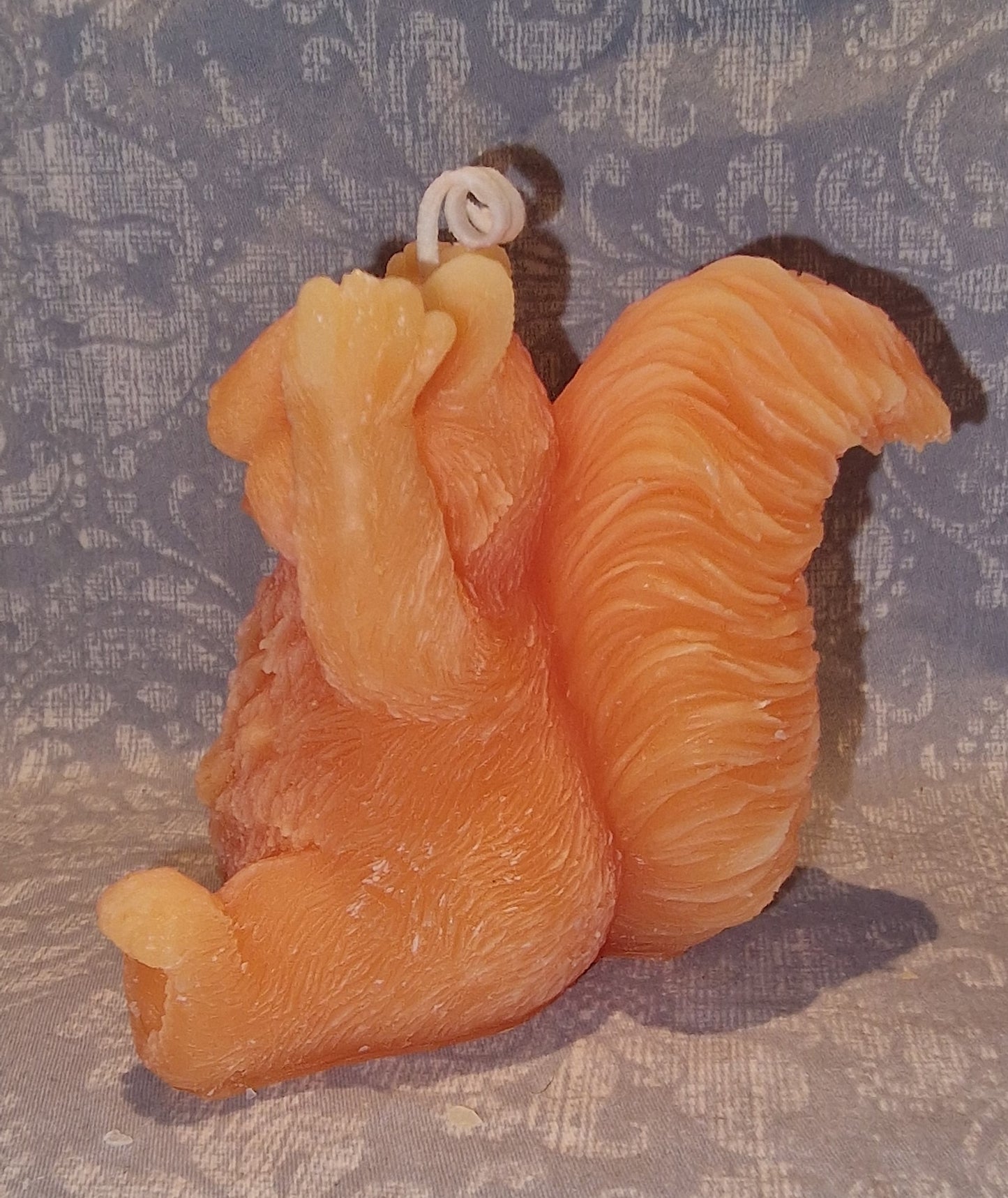 Ekorn GLAD Orange