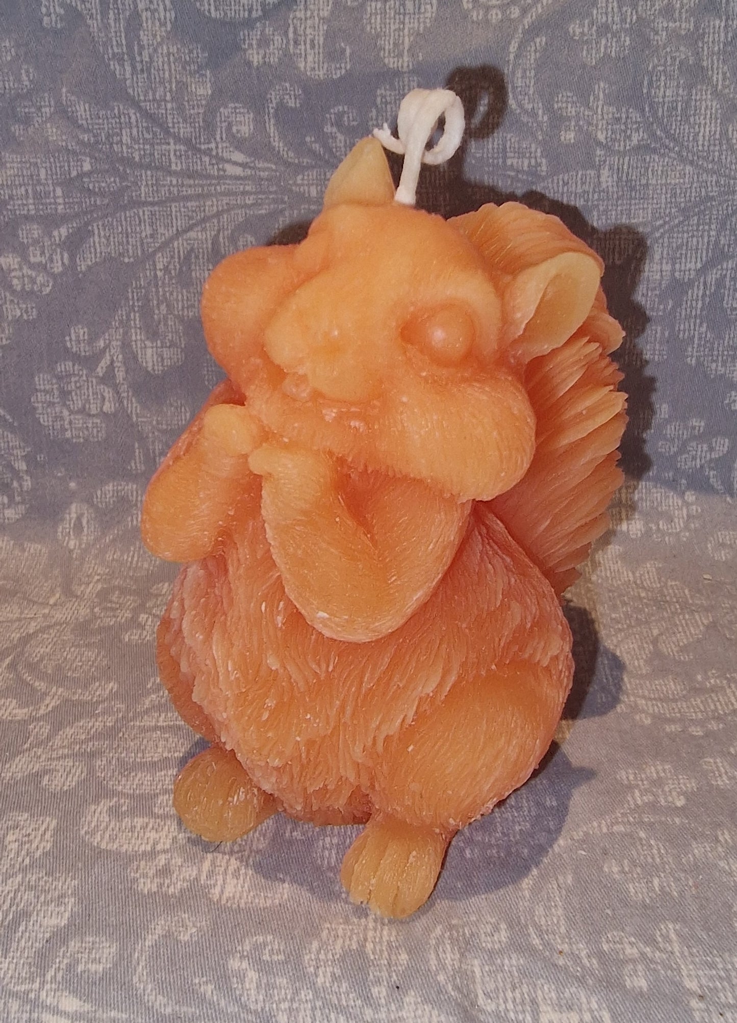 Ekorn SØT Orange