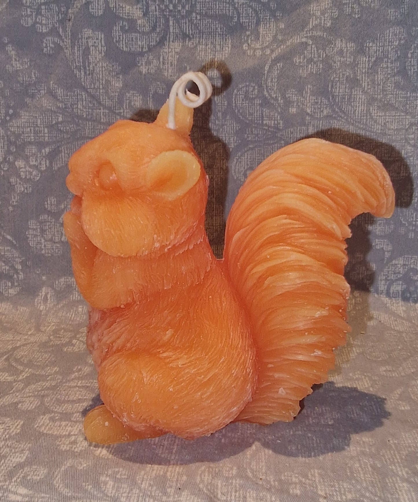 Ekorn SØT Orange