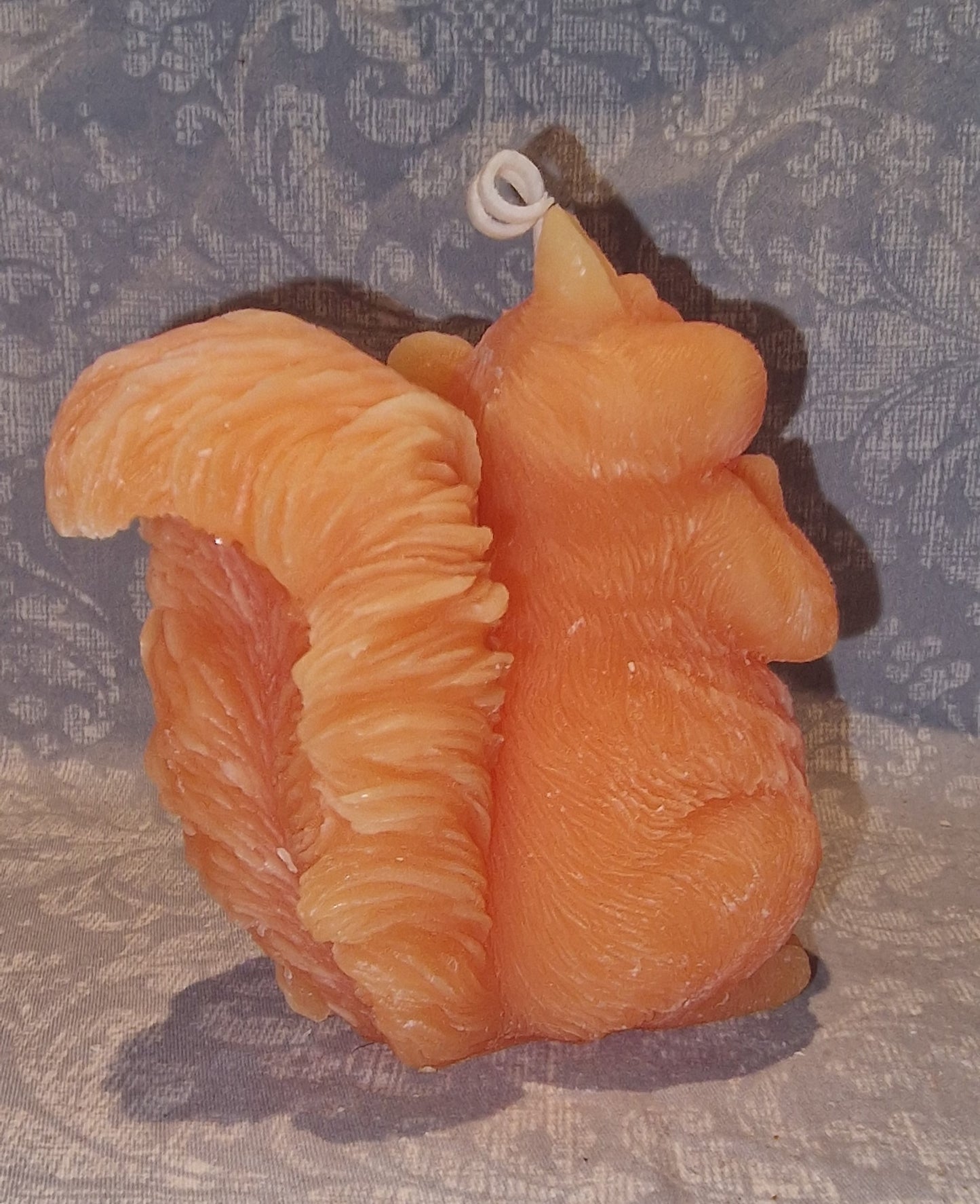 Ekorn SØT Orange