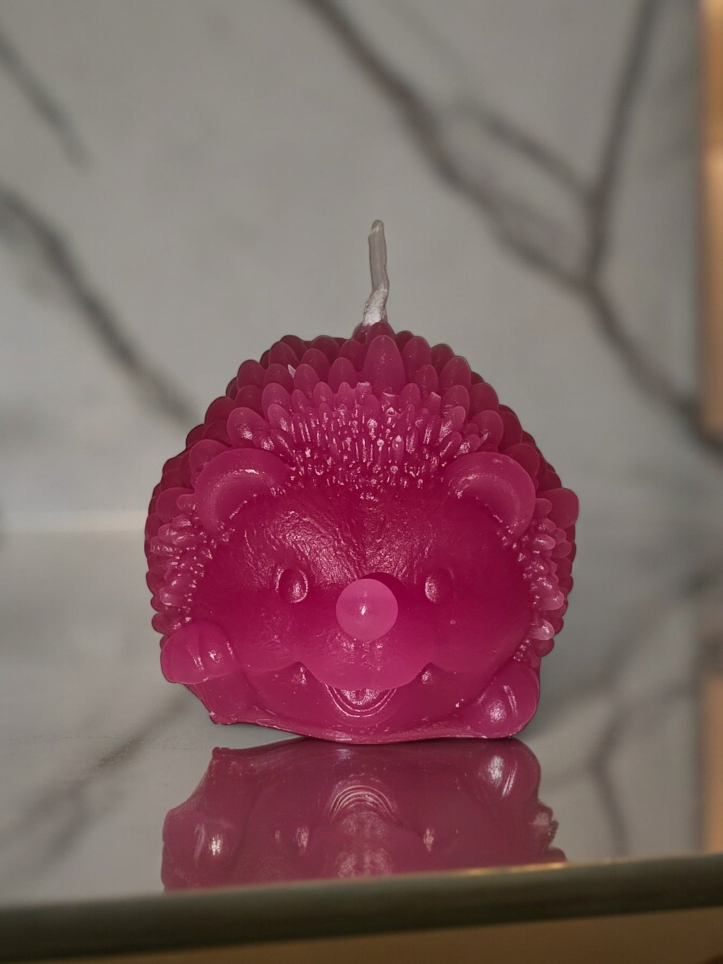 Pinnsvinn Rosa
