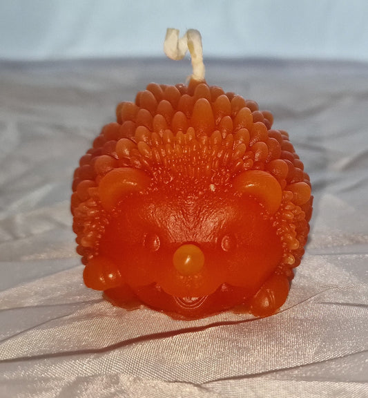 Pinnsvinn Orange