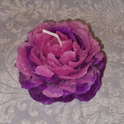 Pion Tofarget Rosa og Lilla