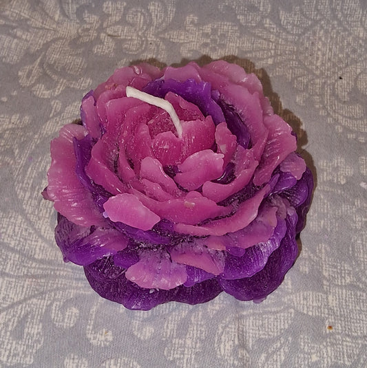 Pion Tofarget Rosa og Lilla