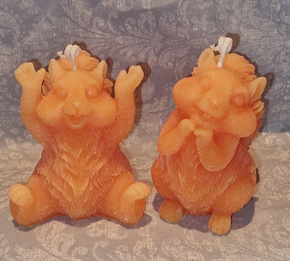 Ekorn SØT Orange