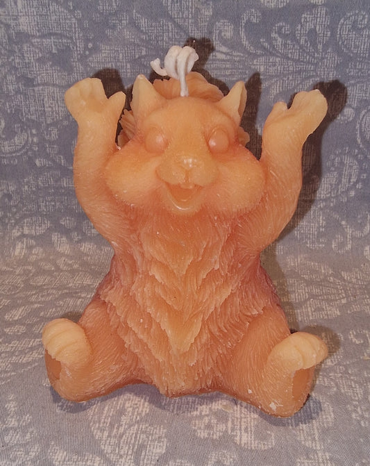 Ekorn GLAD Orange