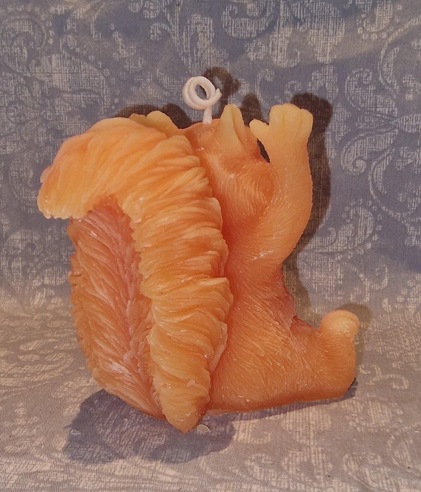 Ekorn GLAD Orange