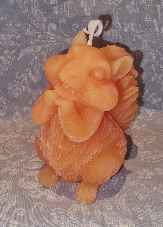 Ekorn SØT Orange