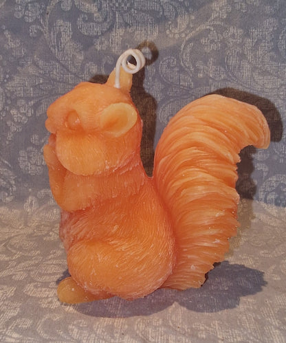 Ekorn SØT Orange