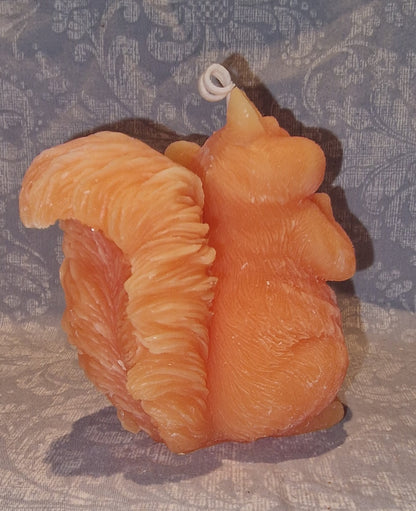 Ekorn SØT Orange
