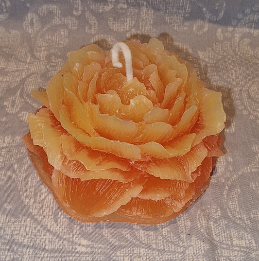 Pion Tofarget Gul og Orange