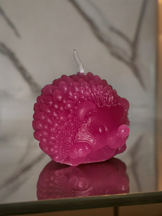 Pinnsvinn Rosa