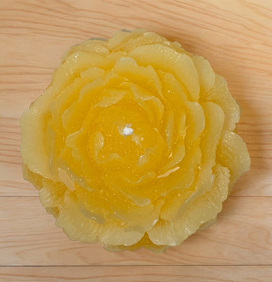 Pion Gul