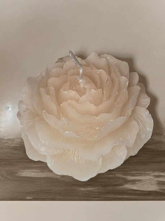 Pion Kremhvit