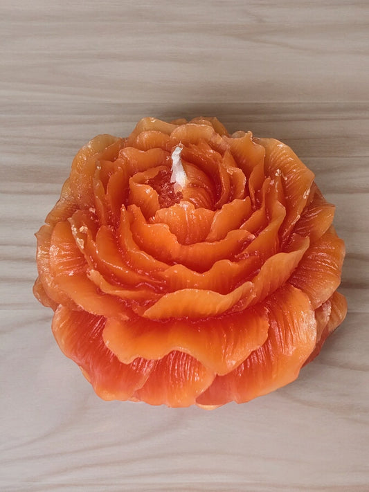 Pion Oransje